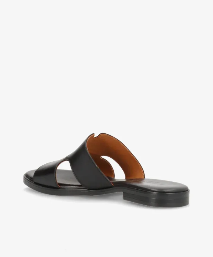 Shoe design sort skind slippers