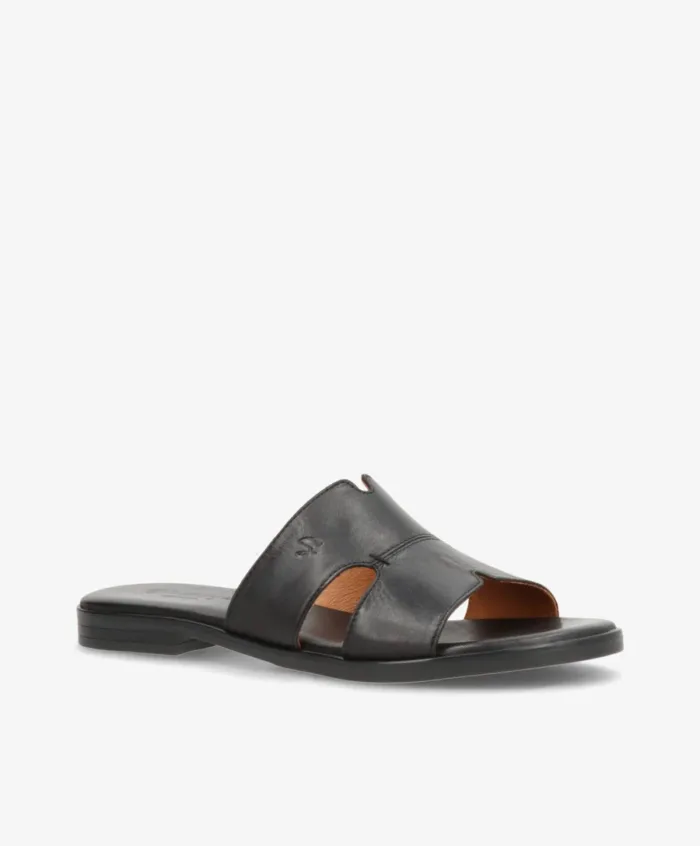 Shoe design sort skind slippers