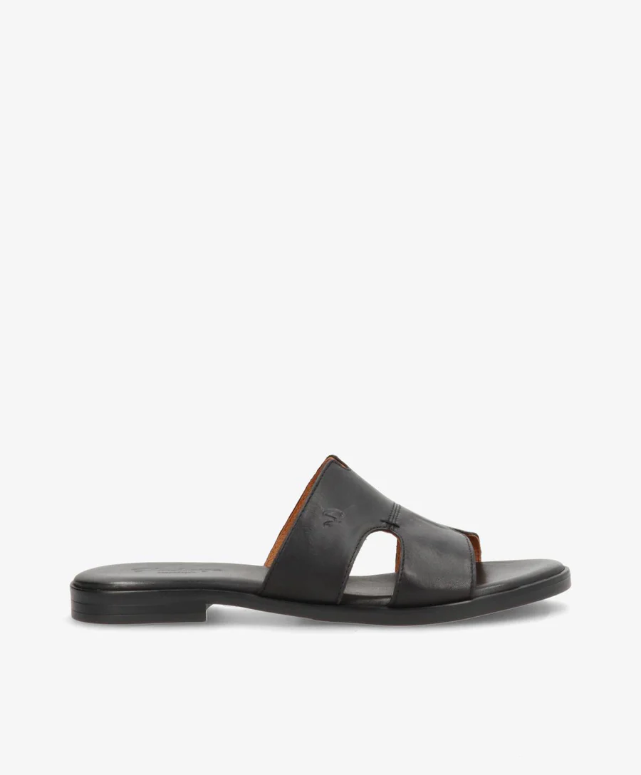 Shoe design sort skind slippers