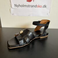 Shoe Design sort damesandal
